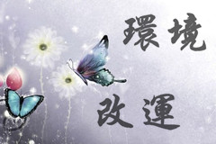  環(huán)境改運(yùn)的一些簡(jiǎn)易方法 