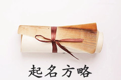 公司起名方略我們需要一個(gè)響亮的名字