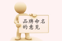 大易關于品牌命名的意見