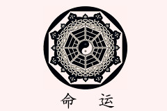 為什么同年同月同日同時出生的人實際命運不同