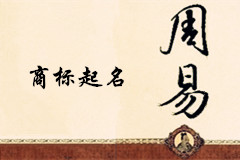 天津葉女士商標(biāo)起名項(xiàng)目已結(jié)束