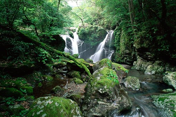 為什么說(shuō)“入山先觀水口”？