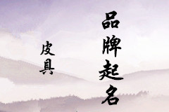 天津的文女士您的品牌起名方案已經(jīng)發(fā)出