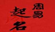蘇州周先生您公司起名及LOGO設(shè)計(jì)已經(jīng)完成