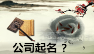 公司起名，你不知道的事