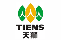 天獅集團(tuán)——品牌起名