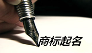 江西陳先生您公司的商標(biāo)起名已經(jīng)完成