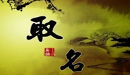 免費起名軟件的弊端