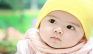 天津齊先生您的羊?qū)殞毱鹈呀?jīng)完成