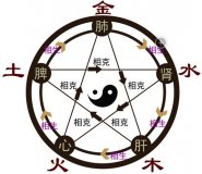 一天的作息規(guī)律要與子午流注相符
