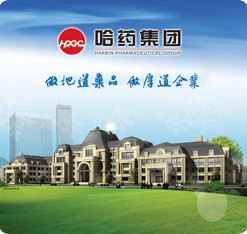 集團(tuán)公司起名