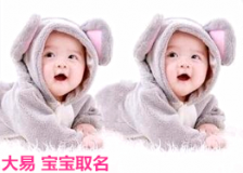 2015十二個(gè)月份羊?qū)殞毜拿\(yùn)