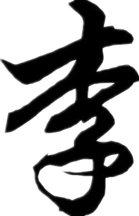 李姓寶寶取名