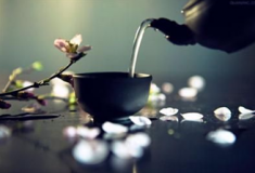 茶品起名的竅門總結(jié)