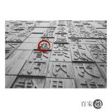 通過(guò)命名守護(hù)漢字